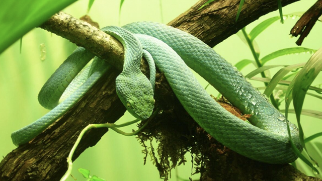 23.3 environment Daily Current Affairs Update | 23 April 2020
