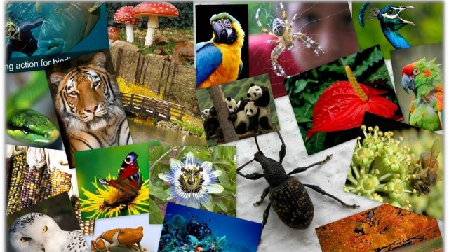 4 9 Daily Current Affairs Update | 25 May 2020