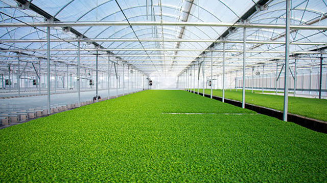 Daily Current Affairs Update | 18 August 2020 6 5 14 Daily Current Affairs Update | 18 August 2020