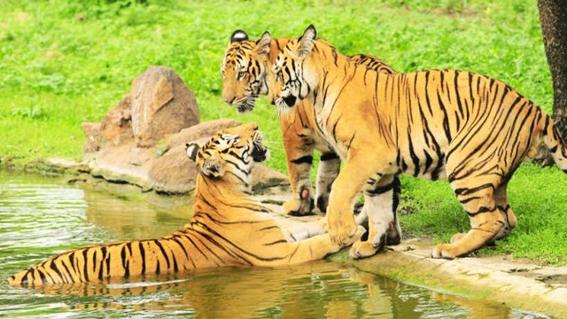 1 17 Daily Current Affairs Update | 25 November 2020