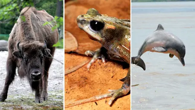 Daily Current Affairs Update | 14 December 2020 9 8 8 Daily Current Affairs Update | 14 December 2020