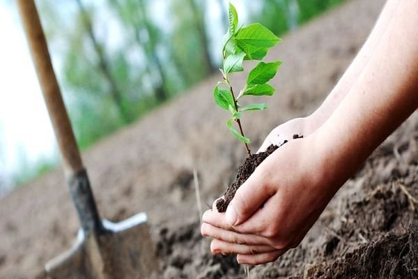Daily Current Affairs Update | 18 August 2021 6 Yourstory Tree Plantation Daily Current Affairs Update | 18 August 2021