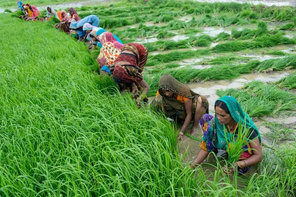 Daily Current Affairs Update | 30 September 2021 7 Agri App Photo Fn Daily Current Affairs Update | 30 September 2021