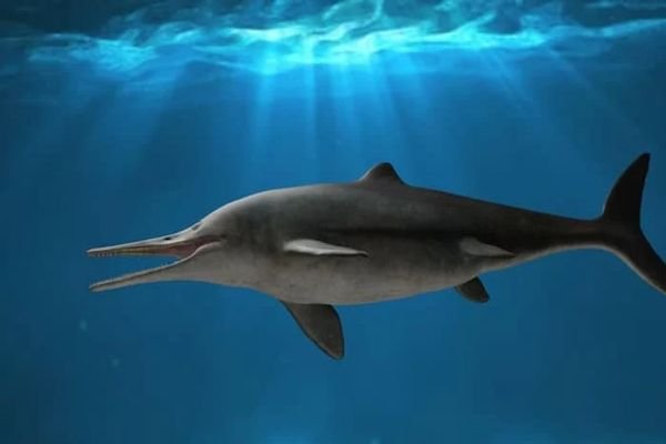 Extinct Swordfish Shaped Marine Reptile Discovered Daily Current Affairs Update | 01 December 2021